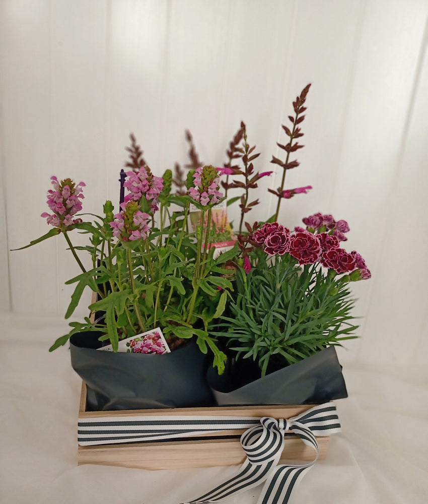 Pink flowering basket