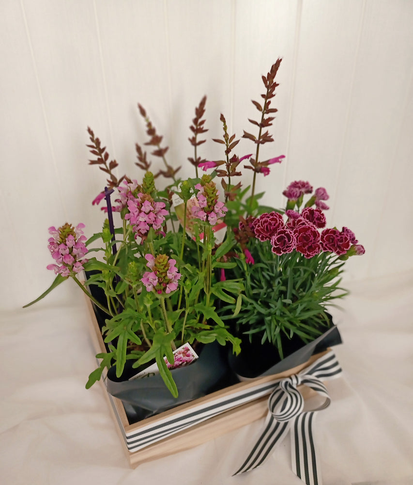 Pink flowering basket