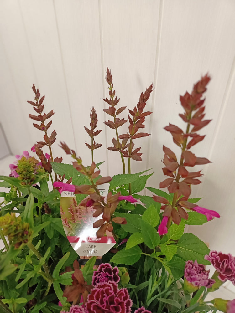 Pink flowering basket