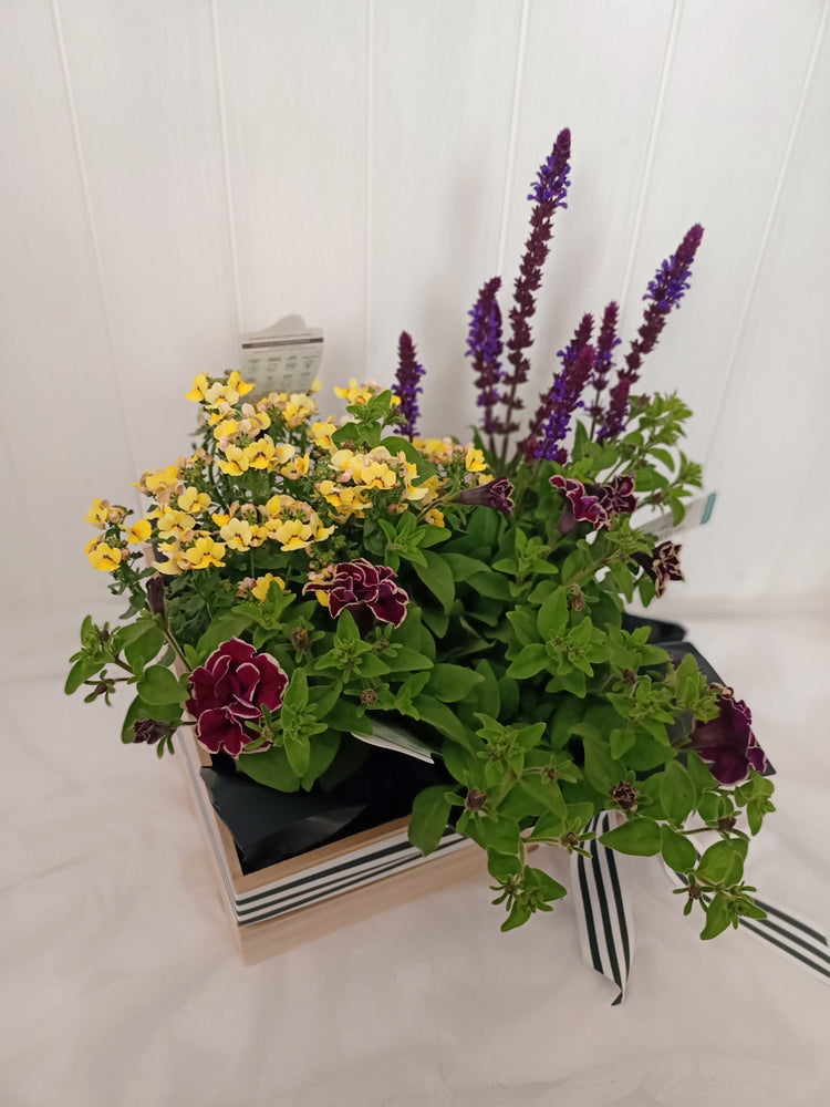 Purple &  Yellow flowering basket